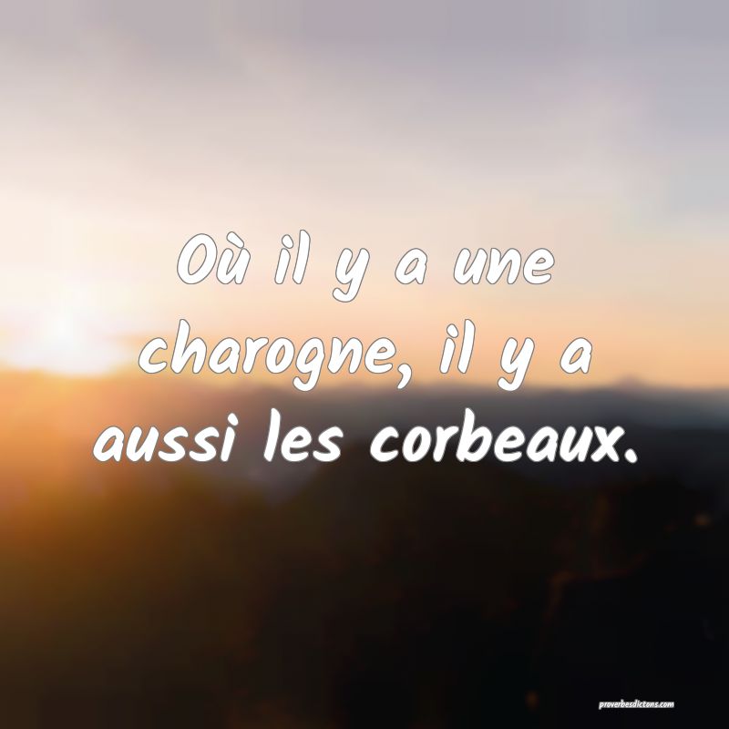 Où il y a une charogne, il y a aussi les corbeaux.