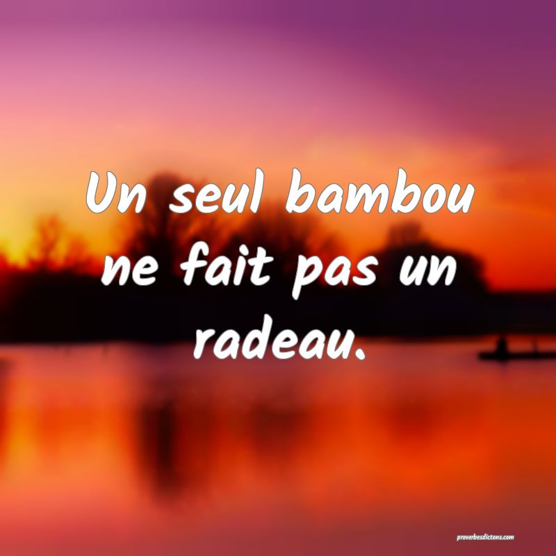 Un seul bambou ne fait pas un radeau.