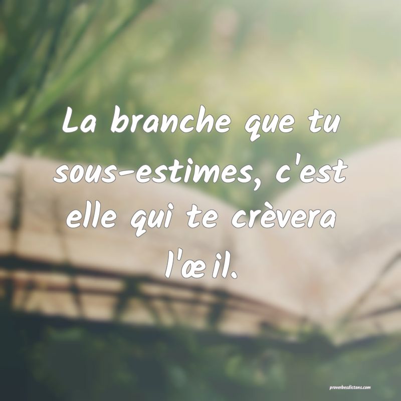 La branche que tu sous-estimes, c'est elle qui te crèvera l'œil.