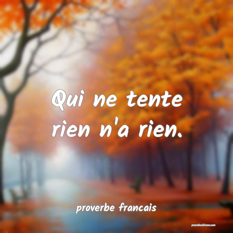  Qui ne tente rien n'a rien.