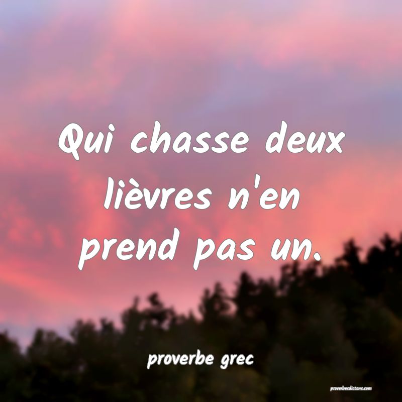 Qui chasse deux lièvres n'en prend pas un.