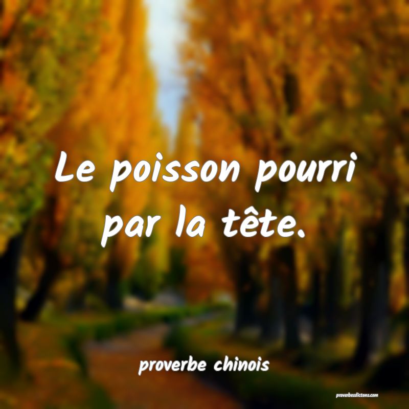  Le poisson pourri par la tête.