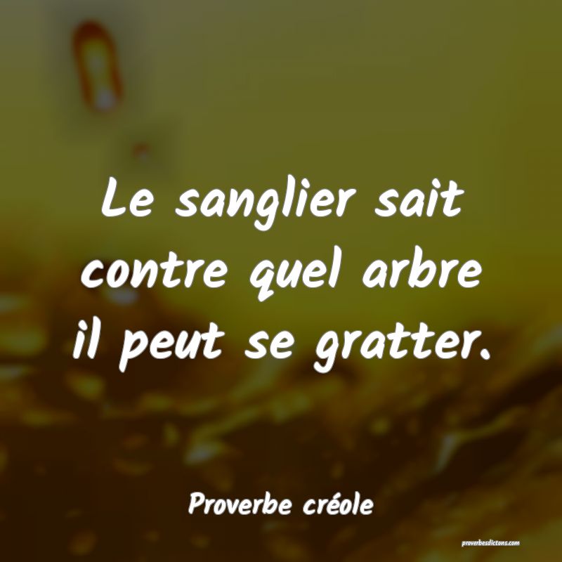 Le sanglier sait contre quel arbre il peut se gratter.