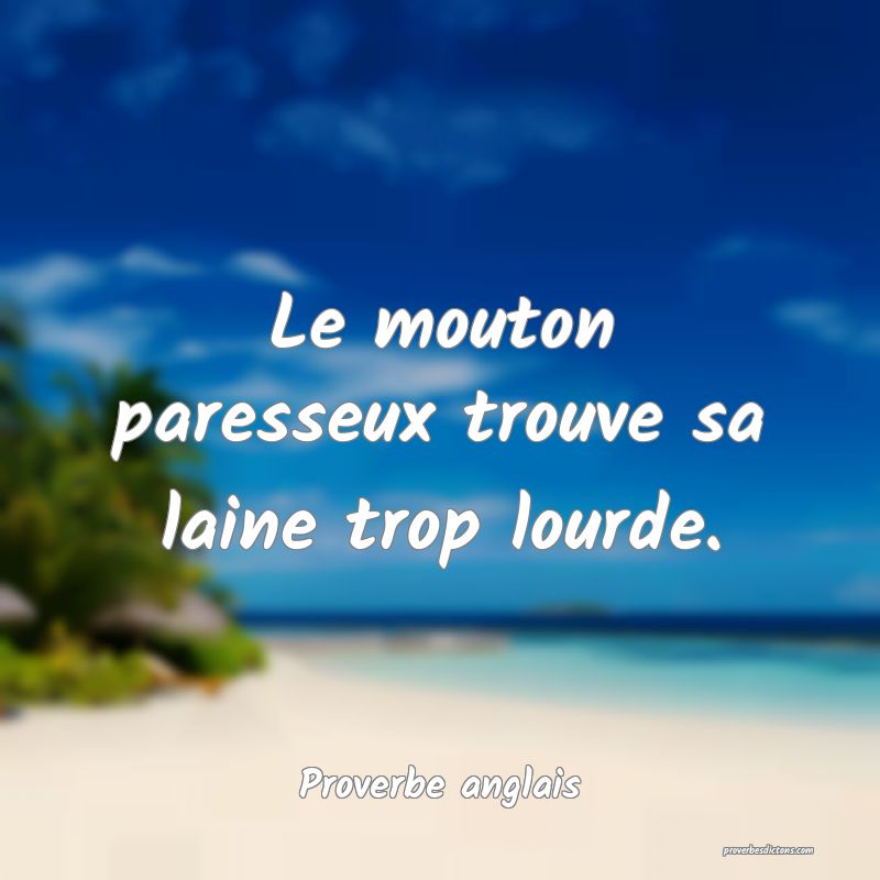 Le mouton paresseux trouve sa laine trop lourde.