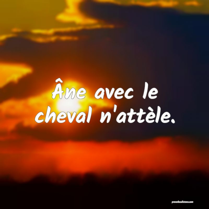 Âne avec le cheval n'attèle.