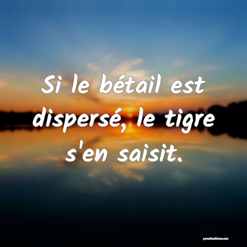 Si le bétail est dispersé, le tigre s'en saisit.