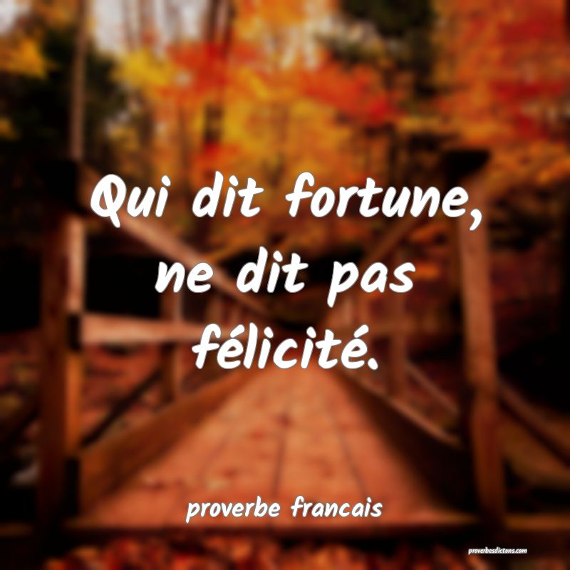 Qui dit fortune, ne dit pas félicité.