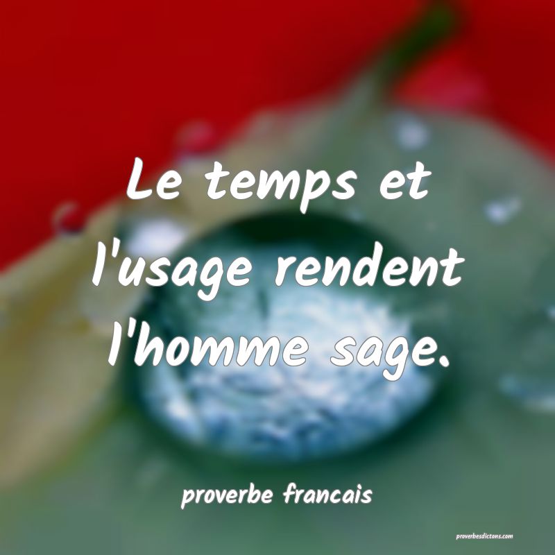 Le temps et l'usage rendent l'homme sage.