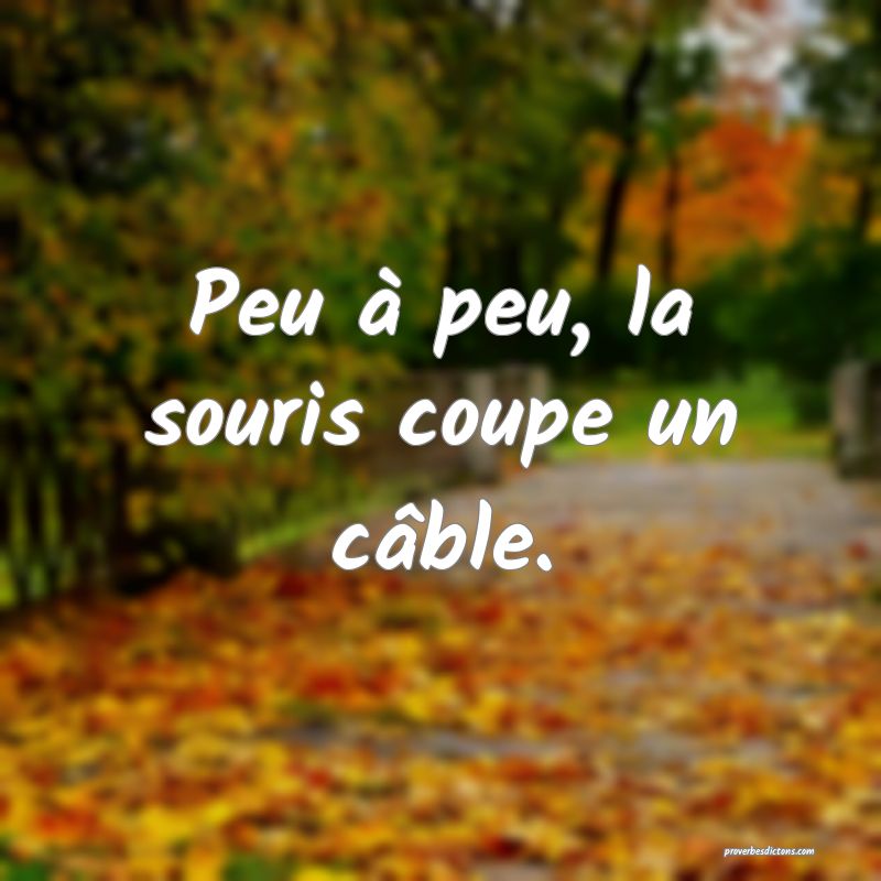Peu à peu, la souris coupe un câble.