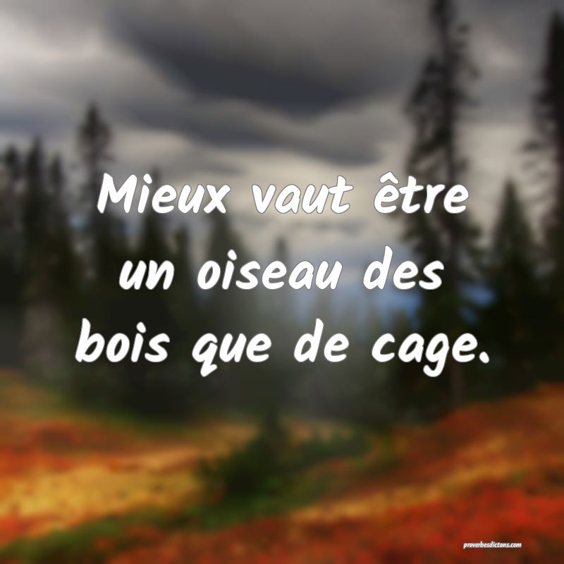 Mieux vaut être un oiseau des bois que de cage.