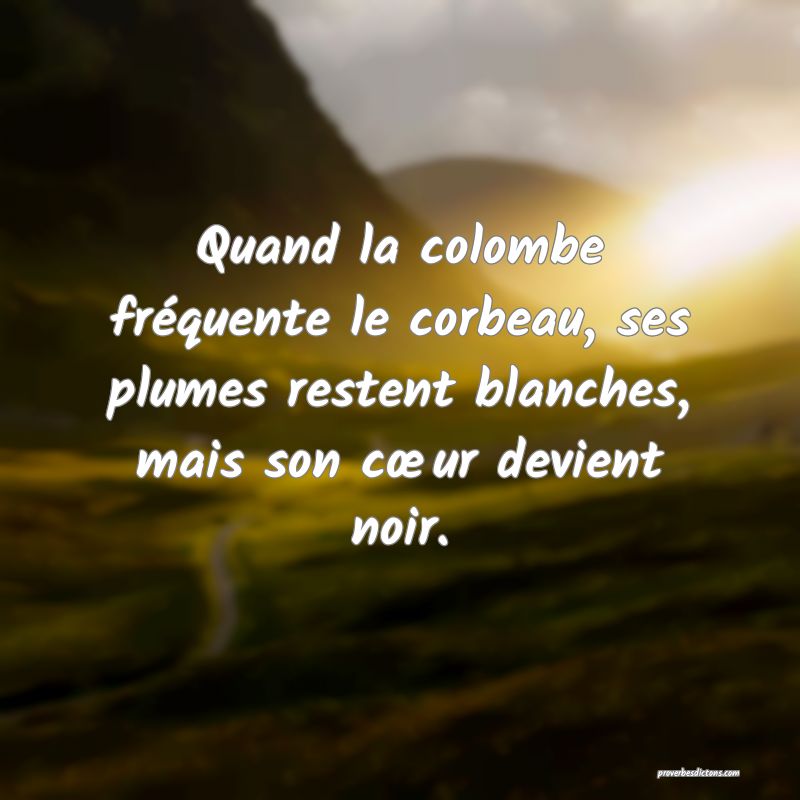 Quand la colombe fréquente le corbeau, ses plumes restent blanches, mais son cœur devient noir.