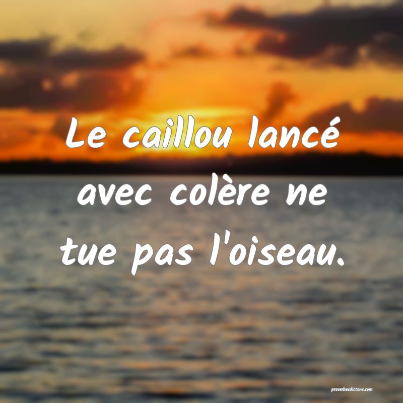 Le caillou lancé avec colère ne tue pas l'oiseau.