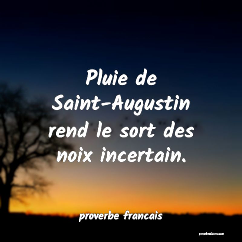 Pluie de Saint-Augustin rend le sort des noix incertain.