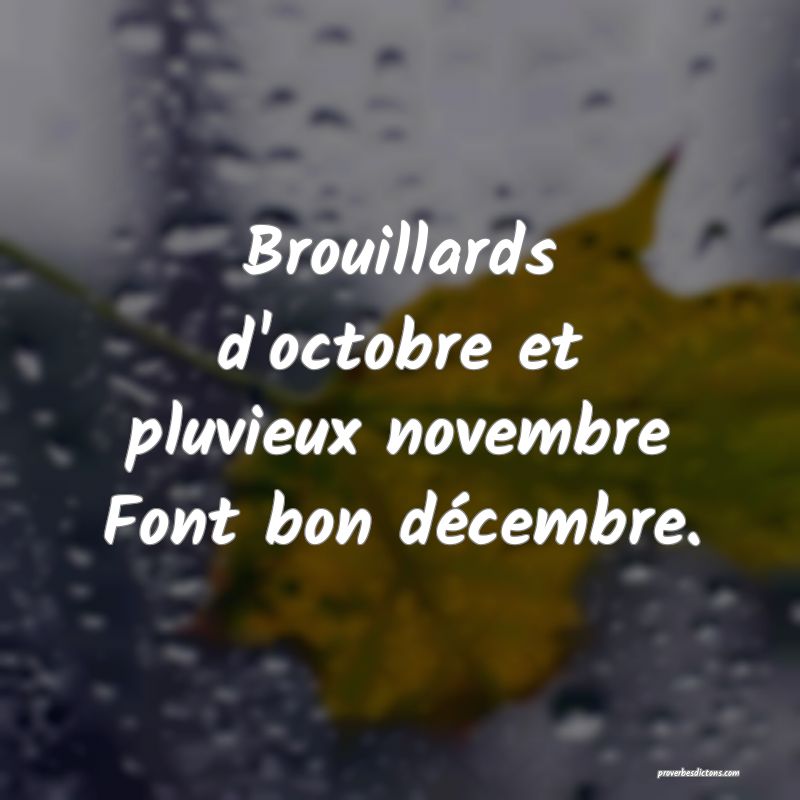 Brouillards d'octobre et pluvieux novembre
Font bon décembre.
