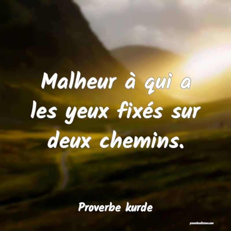 Malheur à qui a les yeux fixés sur deux chemins.