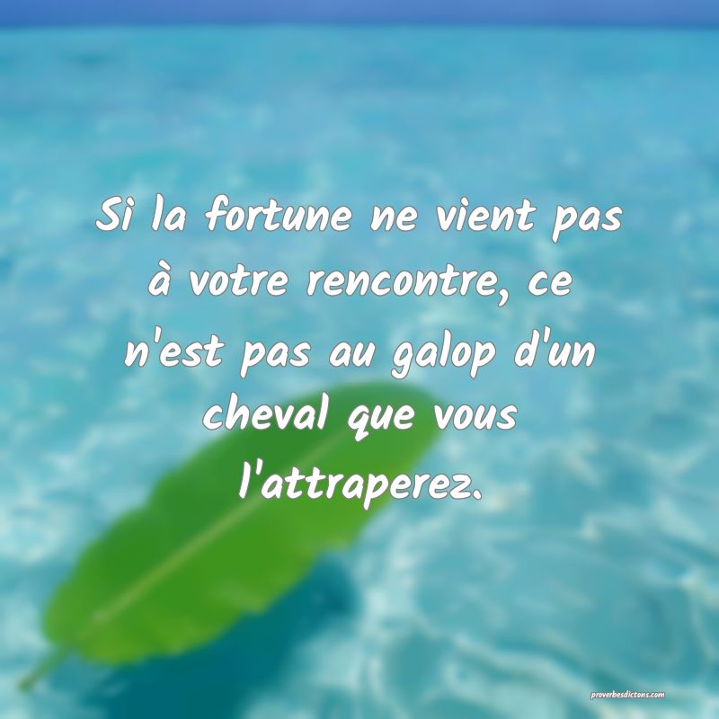 Si la fortune ne vient pas à votre rencontre, ce n'est pas au galop d'un cheval que vous l'attraperez.