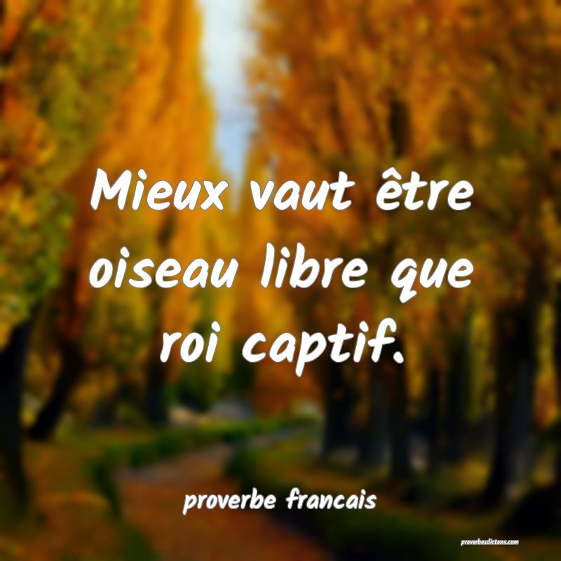 Mieux vaut être oiseau libre que roi captif.
