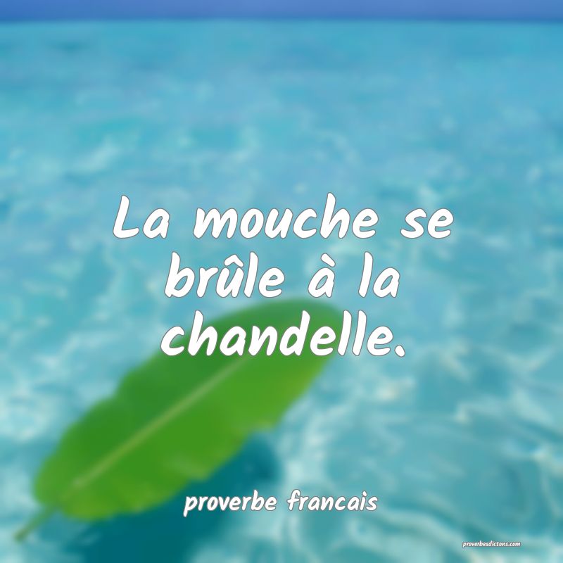 La mouche se brûle à la chandelle.