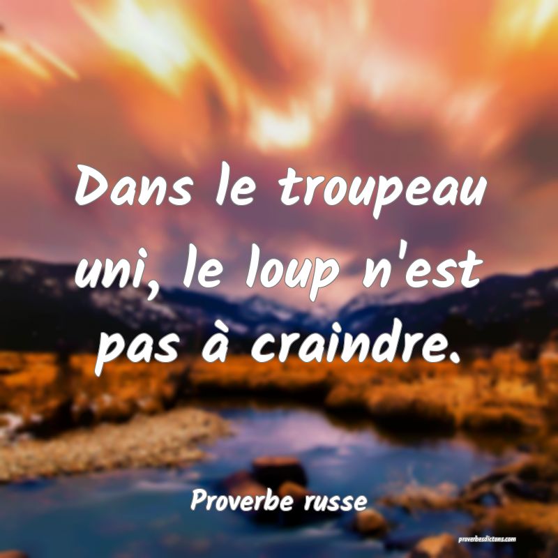 Dans le troupeau uni, le loup n'est pas à craindre.