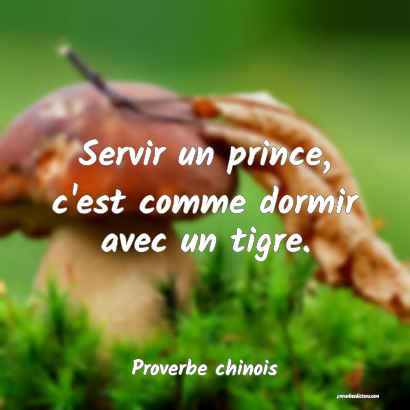 Servir un prince, c'est comme dormir avec un tigre.
