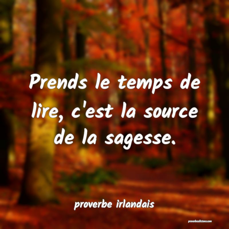 Prends le temps de lire, c'est la source de la sagesse.