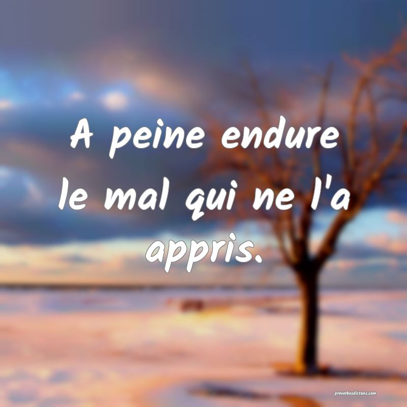 A peine endure le mal qui ne l'a appris.