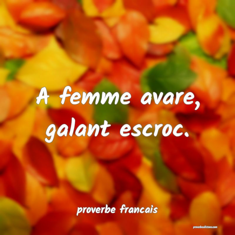 A femme avare, galant escroc.