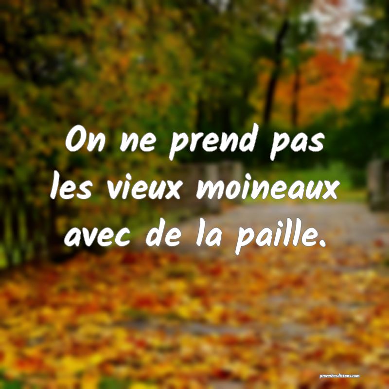 On ne prend pas les vieux moineaux avec de la paille.