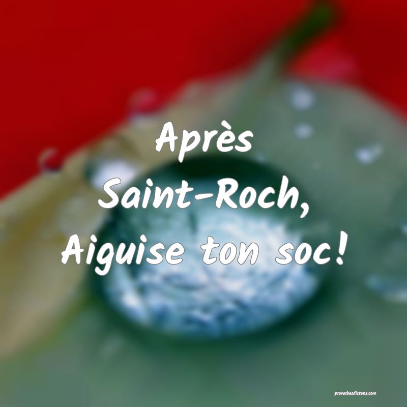 Après Saint-Roch,
Aiguise ton soc!