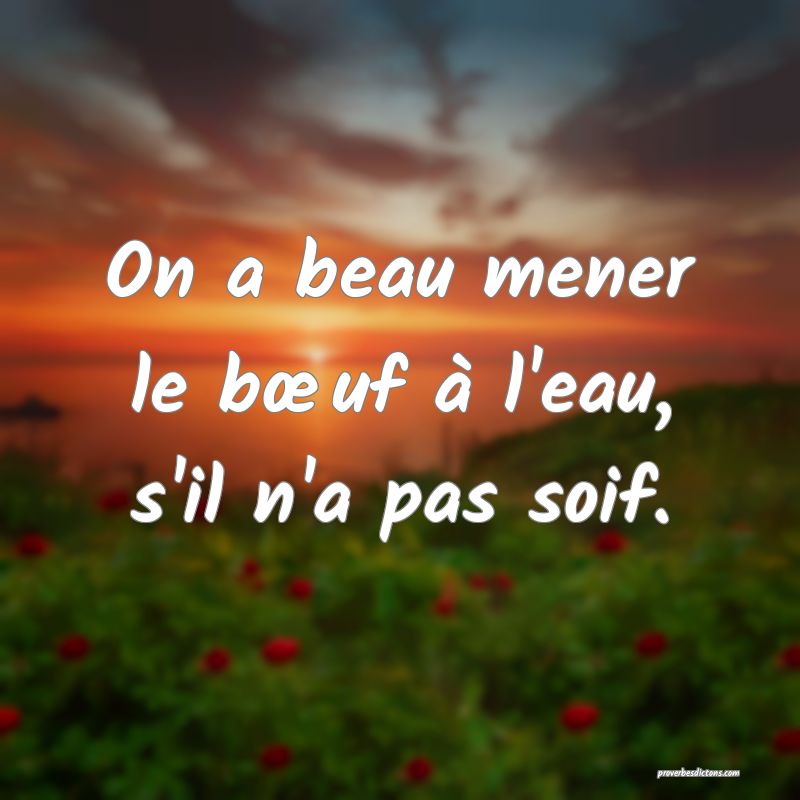 On a beau mener le bœuf à l'eau, s'il n'a pas soif.