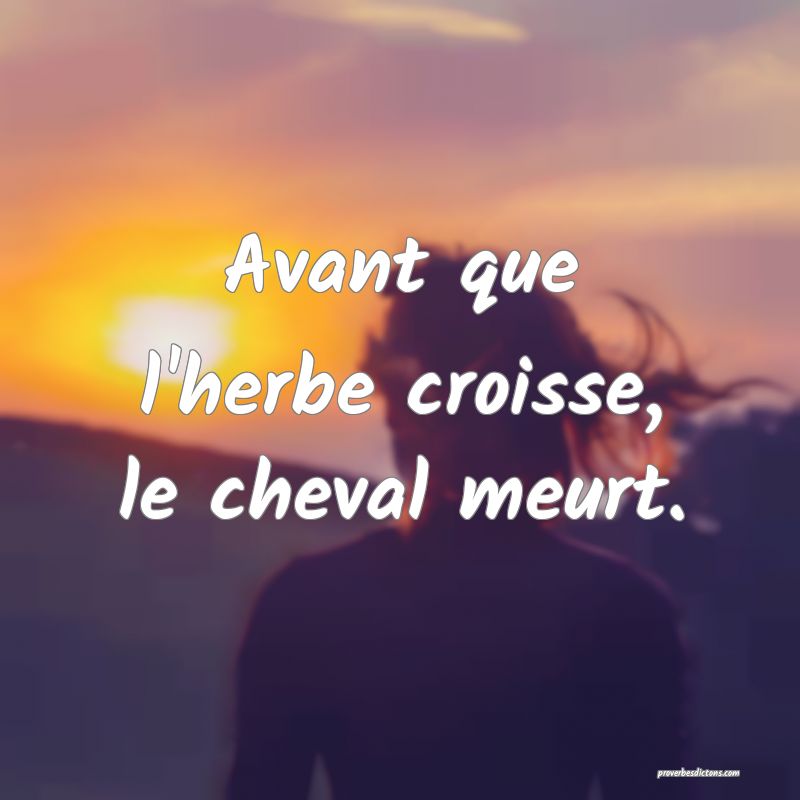 Avant que l'herbe croisse, le cheval meurt.