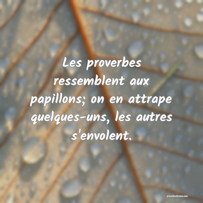 Les proverbes ressemblent aux papillons; on en attrape quelques-uns, les autres s'envolent.