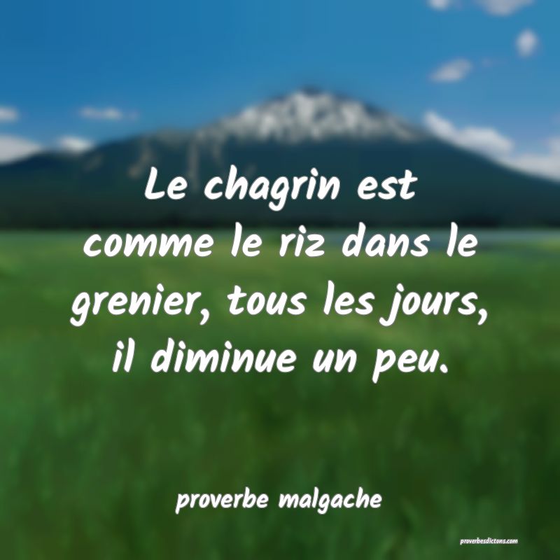  Le chagrin est comme le riz dans le grenier, tous les jours, il diminue un peu.