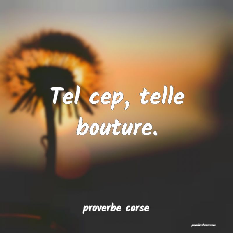 Tel cep, telle bouture.