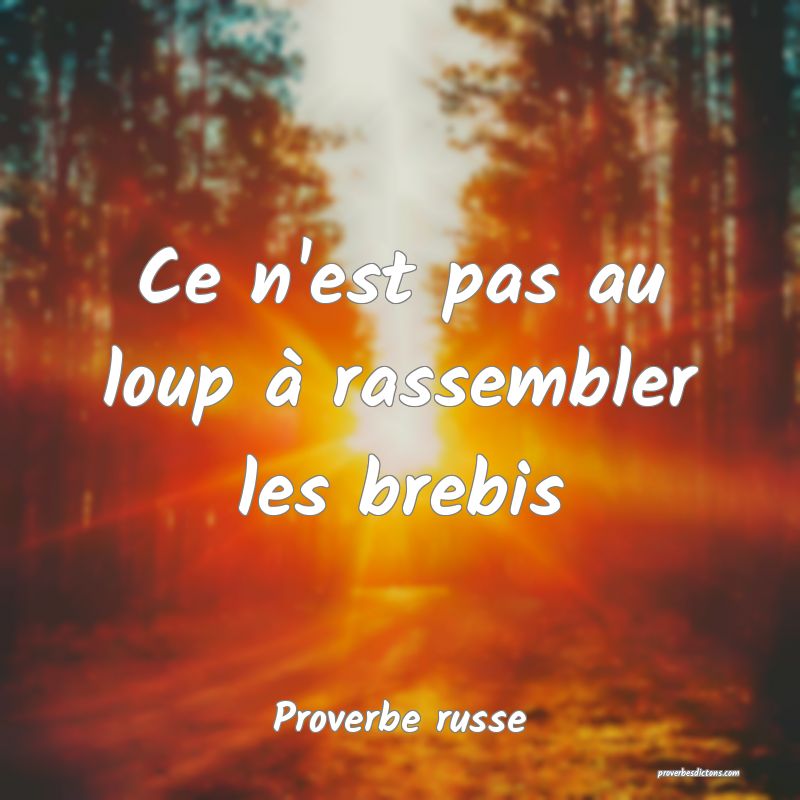 Ce n'est pas au loup à rassembler les brebis
