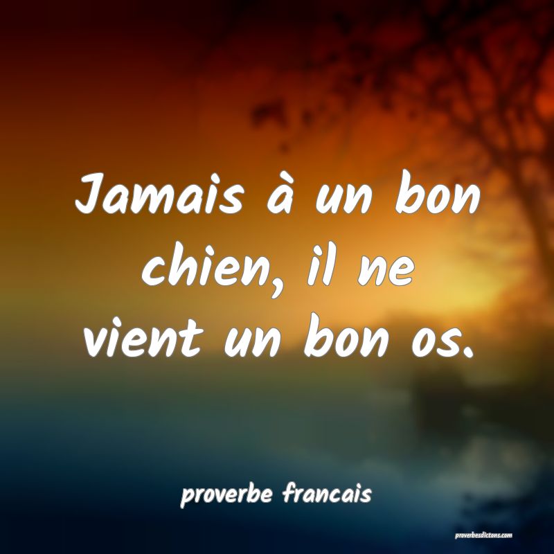 Jamais à un bon chien, il ne vient un bon os.