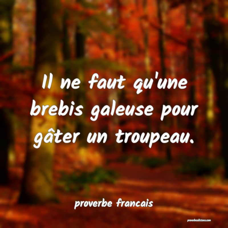 Il ne faut qu'une brebis galeuse pour gâter un troupeau.