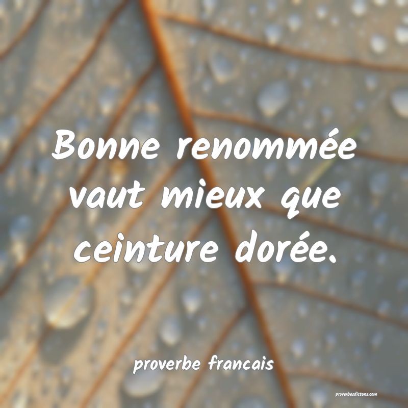 Bonne renommée vaut mieux que ceinture dorée.