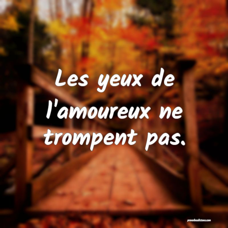 Les yeux de l'amoureux ne trompent pas.