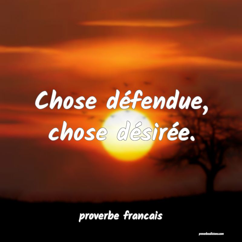 Chose défendue, chose désirée.