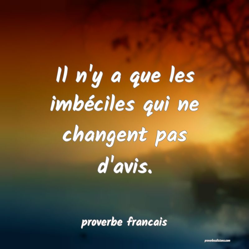 Il n'y a que les imbéciles qui ne changent pas d'avis.