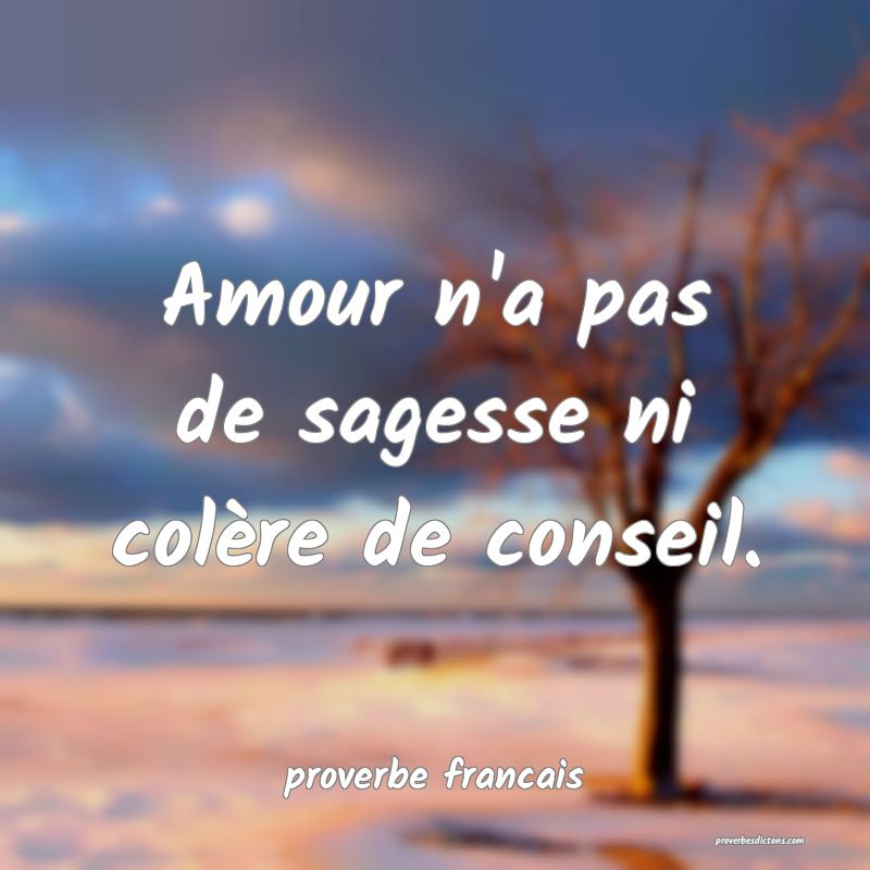  Amour n'a pas de sagesse ni colère de conseil.