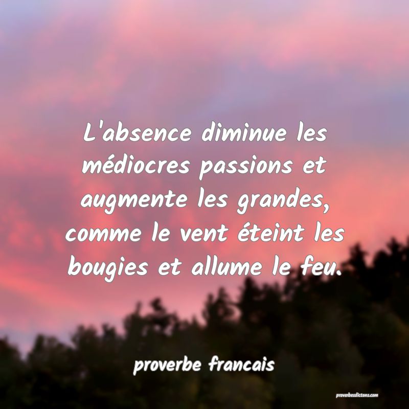 L'absence diminue les médiocres passions et augmente les grandes, comme le vent éteint les bougies et allume le feu.
