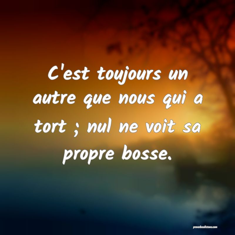 C'est toujours un autre que nous qui a tort ; nul ne voit sa propre bosse.