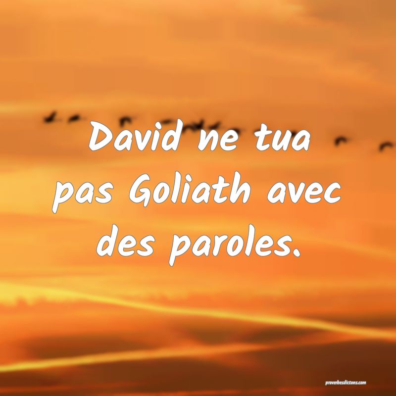 David ne tua pas Goliath avec des paroles.