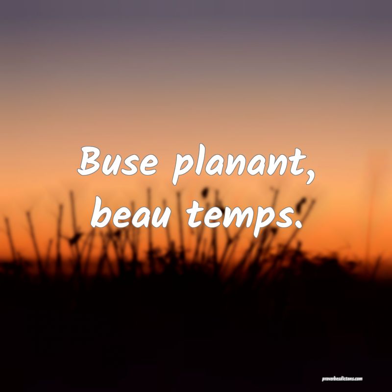 Buse planant, beau temps.