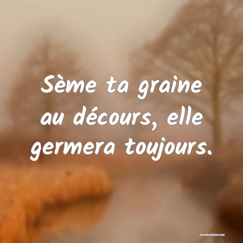 Sème ta graine au décours, elle germera toujours.