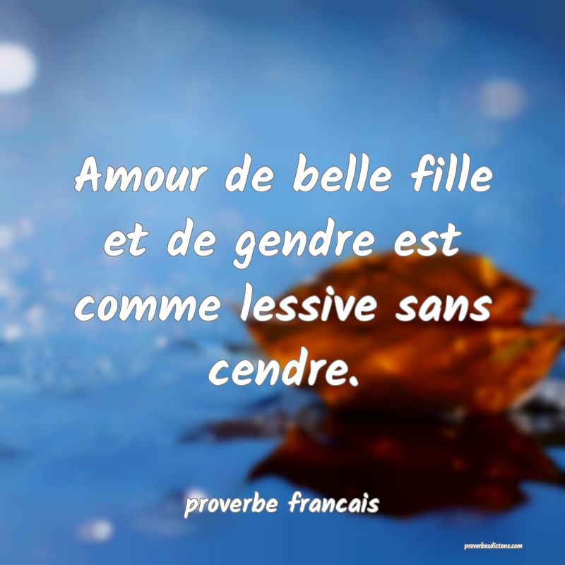  Amour de belle fille et de gendre est comme lessive sans cendre.