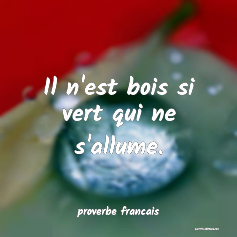 Il n'est bois si vert qui ne s'allume.
