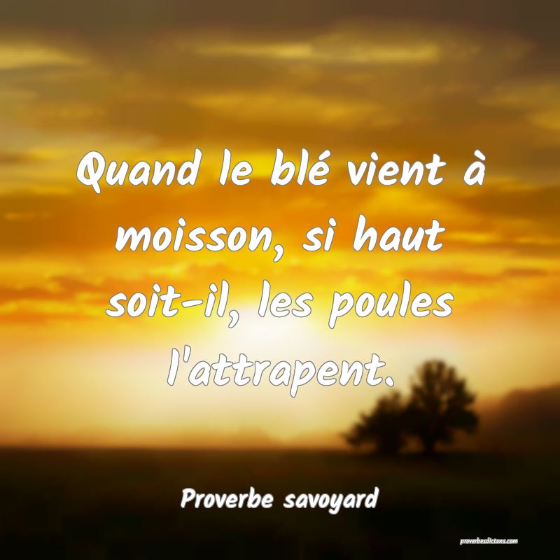 Quand le blé vient à moisson, si haut soit-il, les poules l'attrapent.